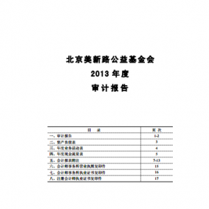 【年度财务报告】2013年度审计报告