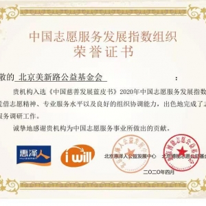中国志愿服务发展指数组织荣誉证书